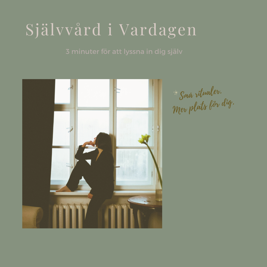 Person sitter i ett fönster och blickar ut i stillhet – symbolisk bild för en kort paus och självvårdsritual för att checka in med sig själv.