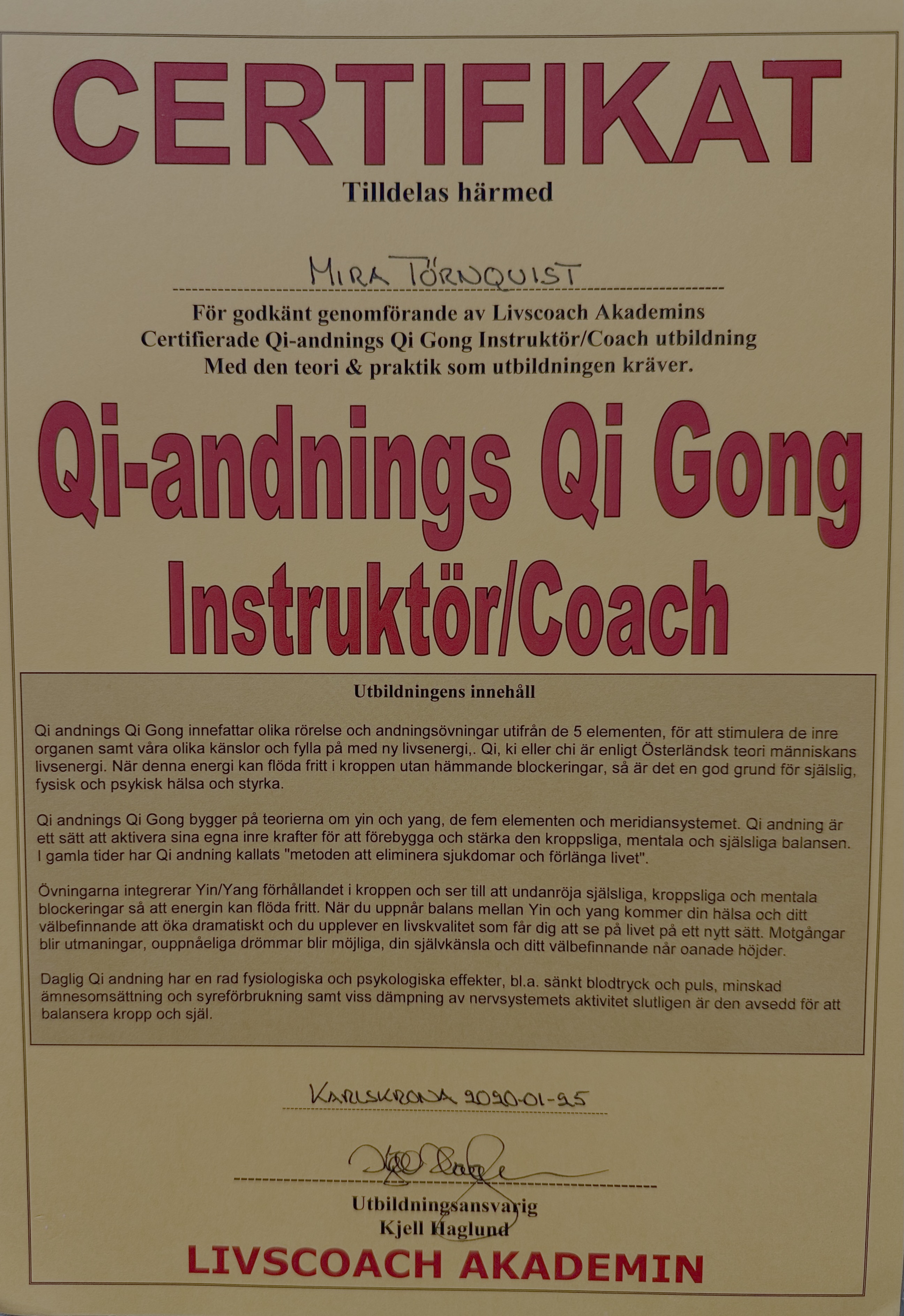 Qi Gong QiGong