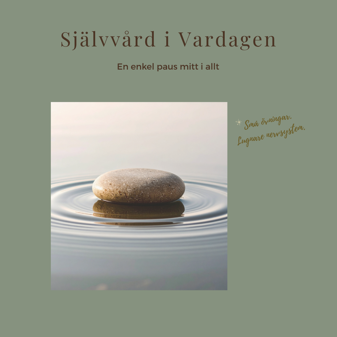 Sten som vilar i lugnt vatten med mjuka ringar på ytan, symbol för paus, återhämtning och ett lugnare nervsystem