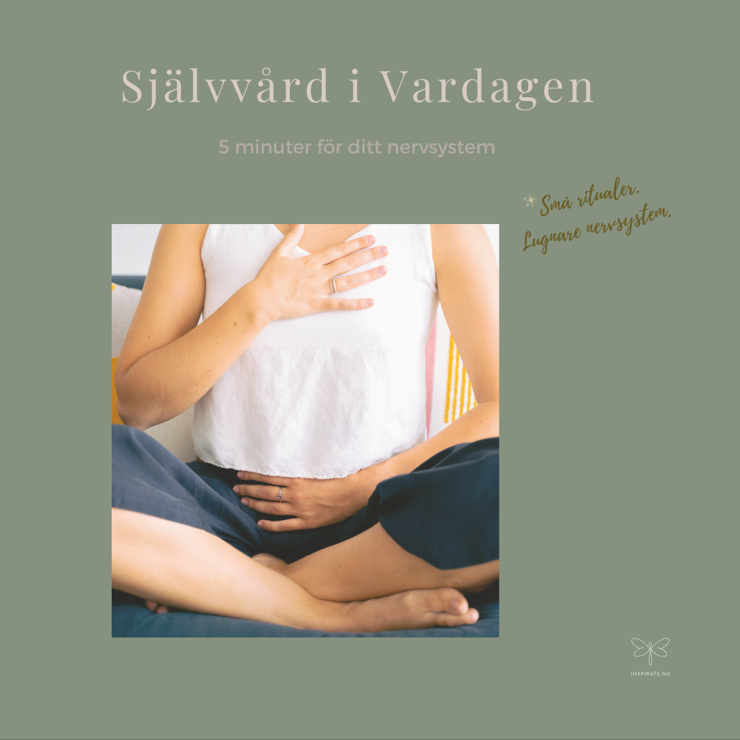 Person som gör en lugn andningsövning med händerna på bröst och mage för att reglera nervsystemet