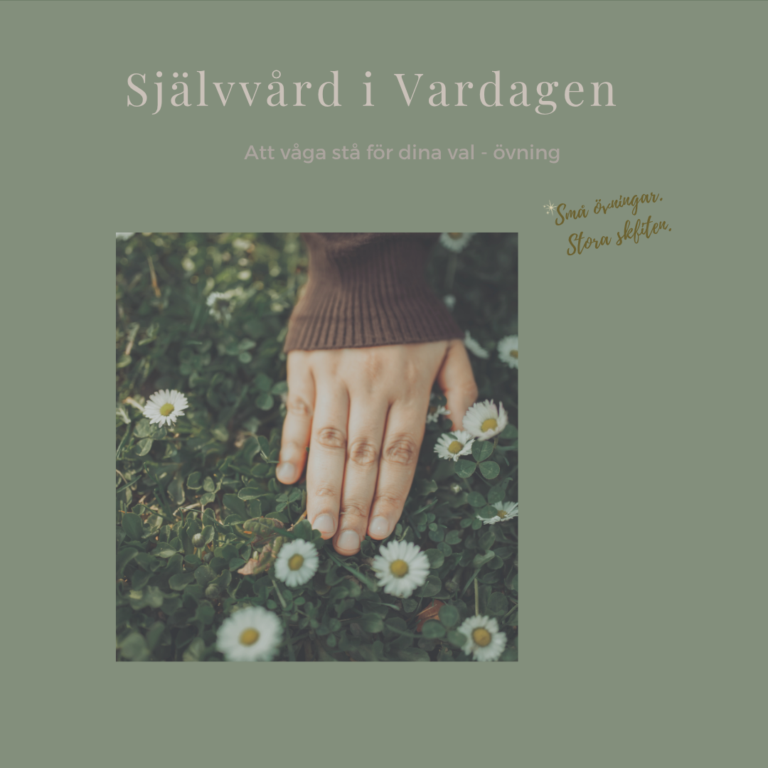 En hand vilar mjukt bland gröna blad och vita tusenskönor. Bilden förmedlar närvaro, eftertanke och förankring i det som känns sant, även när en ny riktning fortfarande känns ovan.